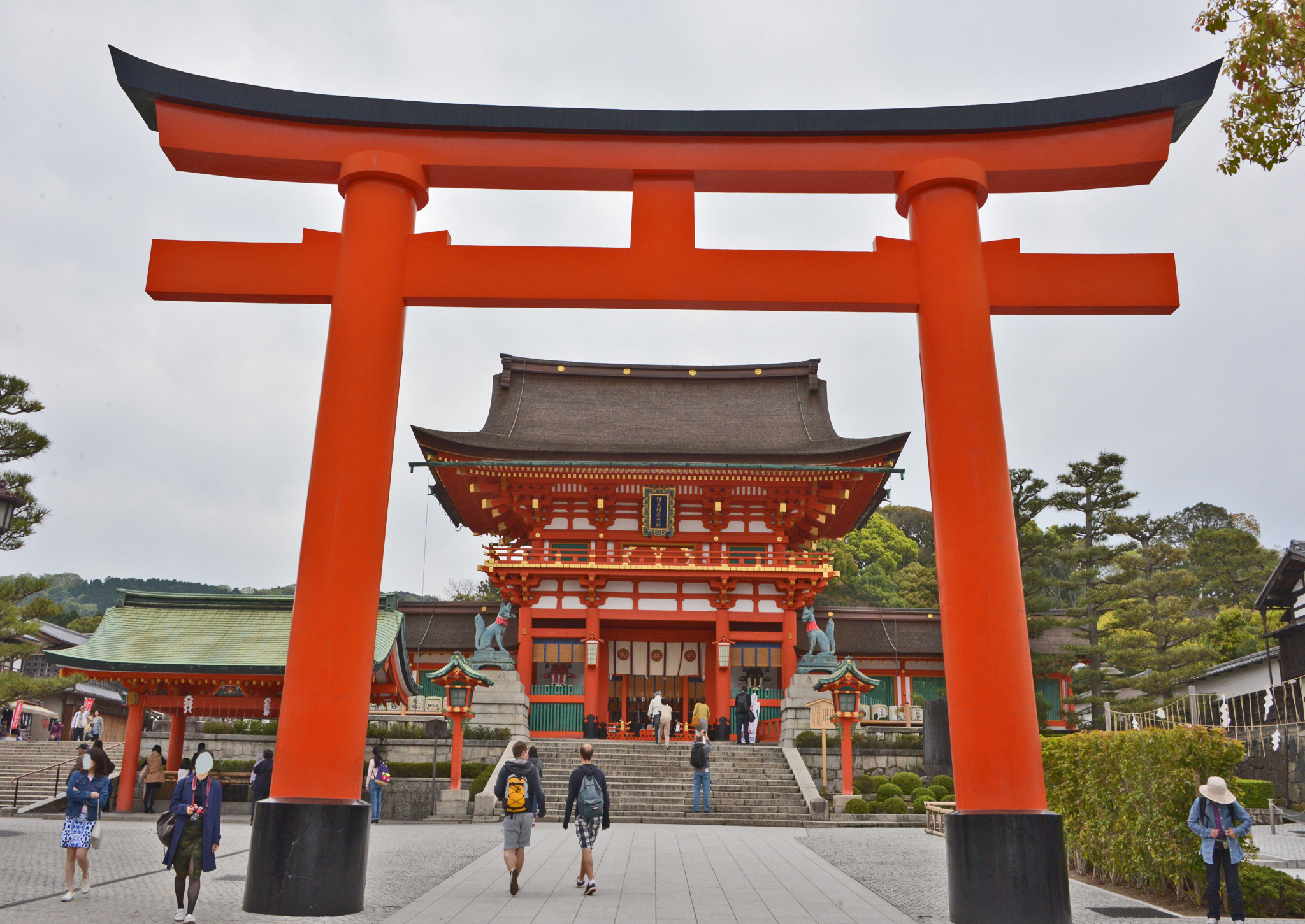 ⇑　伏見稲荷神社　今一番の人気スポット　特に中国系は赤と金色が好きのようだ